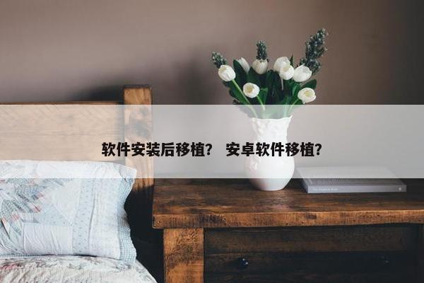 软件安装后移植？ 安卓软件移植？