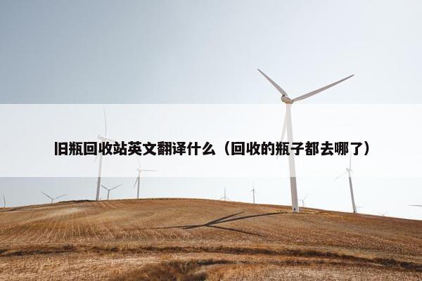 旧瓶回收站英文翻译什么（回收的瓶子都去哪了）