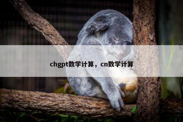 chgpt数学计算，cn数学计算