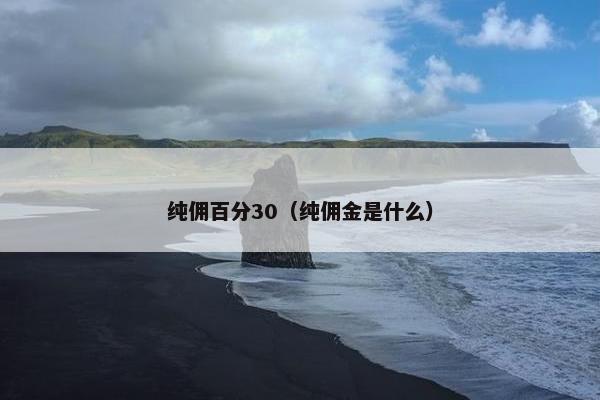 纯佣百分30（纯佣金是什么）