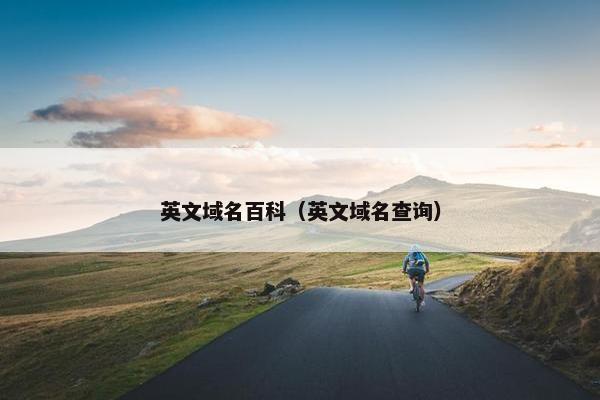 英文域名百科（英文域名查询）