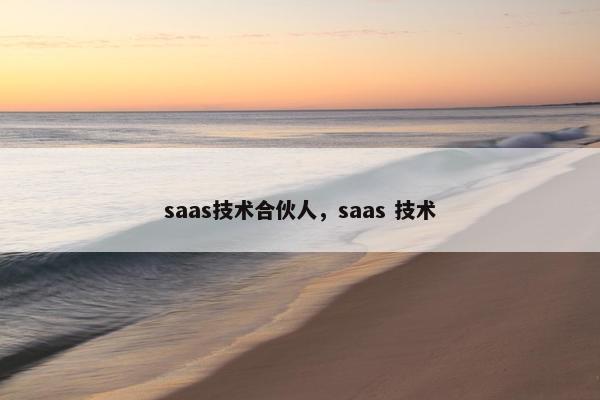 saas技术合伙人，saas 技术