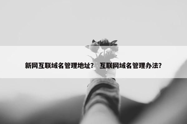 新网互联域名管理地址？ 互联网域名管理办法？