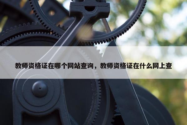 教师资格证在哪个网站查询，教师资格证在什么网上查