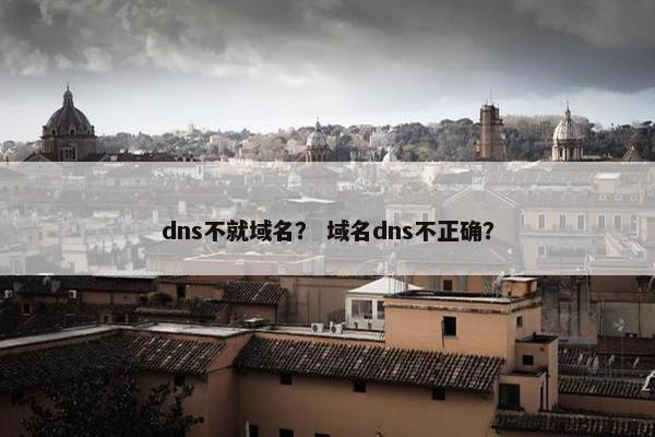 dns不就域名？ 域名dns不正确？