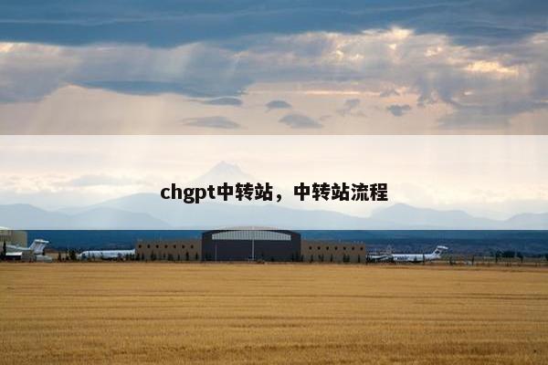 chgpt中转站，中转站流程