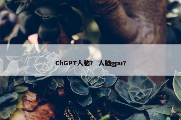 ChGPT人脑？ 人脑gpu？