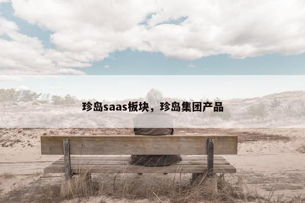 珍岛saas板块，珍岛集团产品