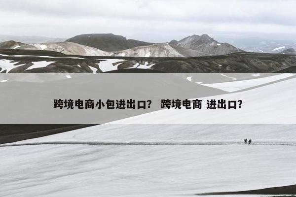跨境电商小包进出口？ 跨境电商 进出口？