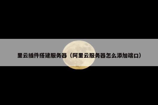 里云插件搭建服务器（阿里云服务器怎么添加端口）