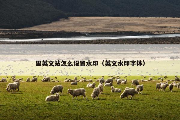 里英文站怎么设置水印（英文水印字体）