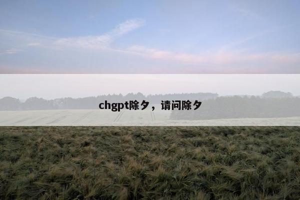 chgpt除夕，请问除夕