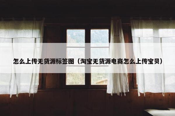 怎么上传无货源标签图（淘宝无货源电商怎么上传宝贝）