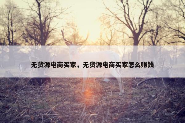 无货源电商买家，无货源电商买家怎么赚钱
