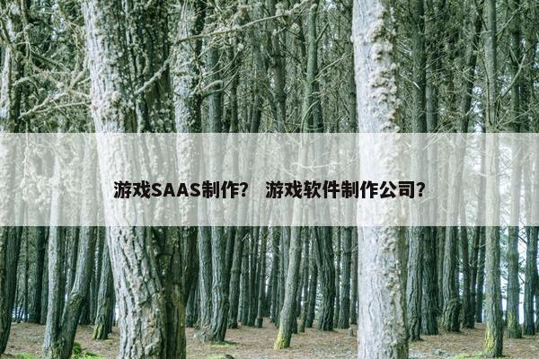 游戏SAAS制作？ 游戏软件制作公司？