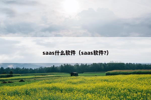 saas什么软件（saas软件?）