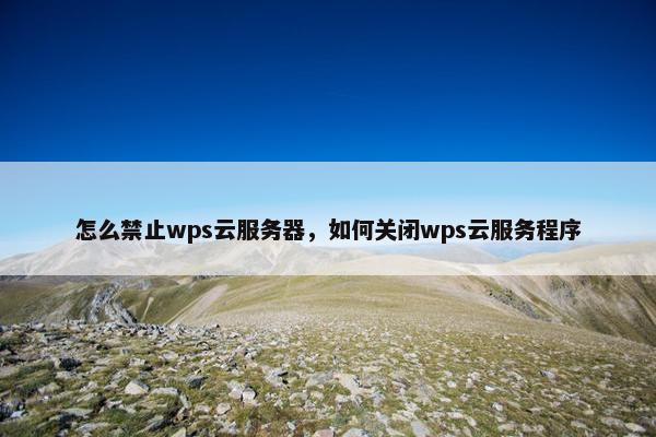 怎么禁止wps云服务器，如何关闭wps云服务程序