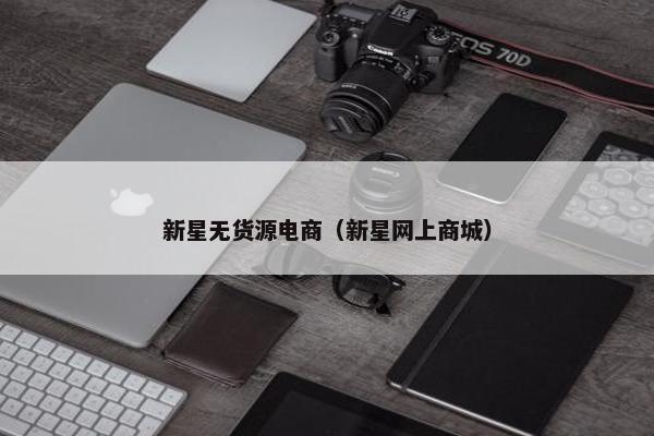 新星无货源电商（新星网上商城）