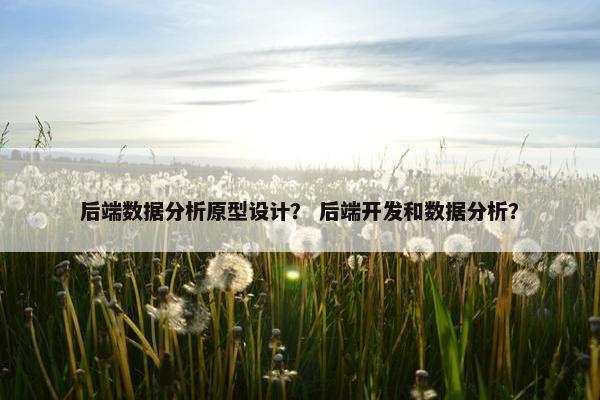 后端数据分析原型设计？ 后端开发和数据分析？