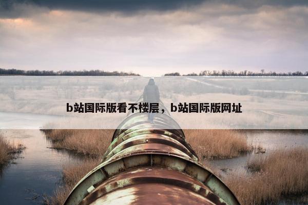 b站国际版看不楼层，b站国际版网址