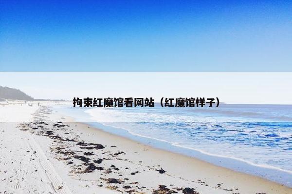 拘束红魔馆看网站（红魔馆样子）