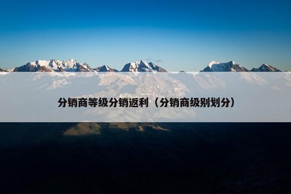 分销商等级分销返利（分销商级别划分）
