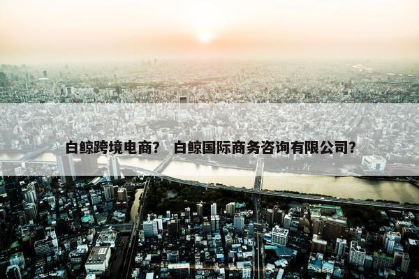 白鲸跨境电商？ 白鲸国际商务咨询有限公司？