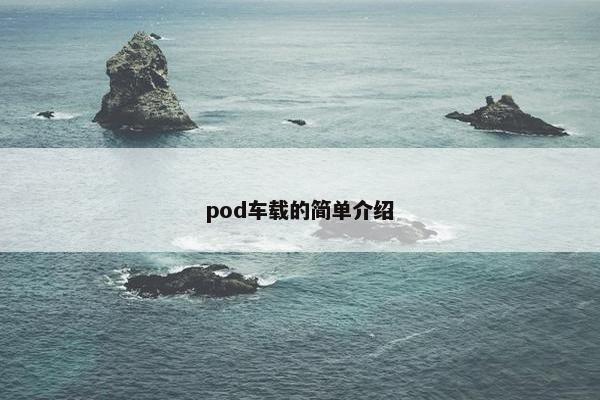 pod车载的简单介绍