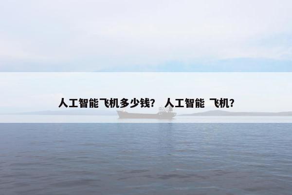 人工智能飞机多少钱？ 人工智能 飞机？