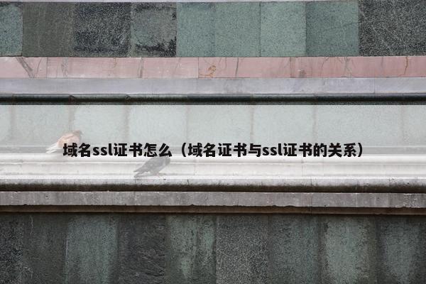 域名ssl证书怎么（域名证书与ssl证书的关系）