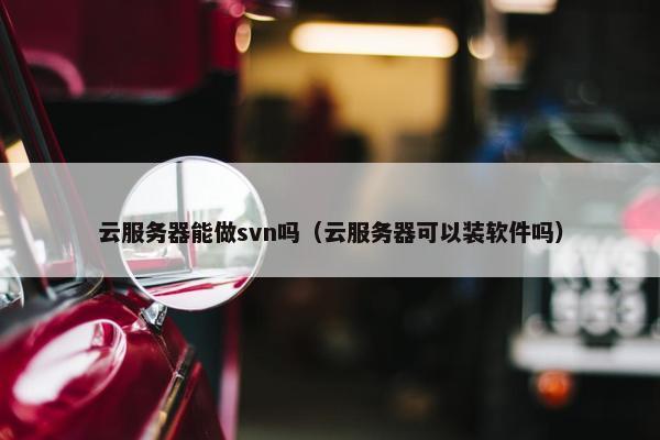 云服务器能做svn吗（云服务器可以装软件吗）