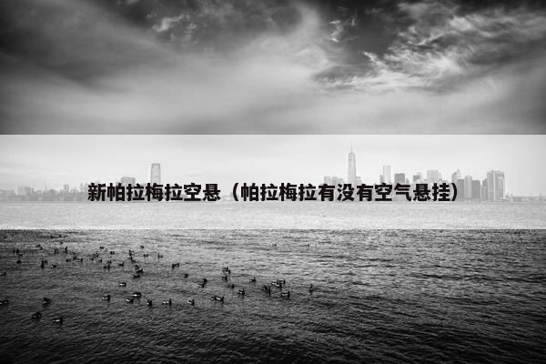 新帕拉梅拉空悬（帕拉梅拉有没有空气悬挂）