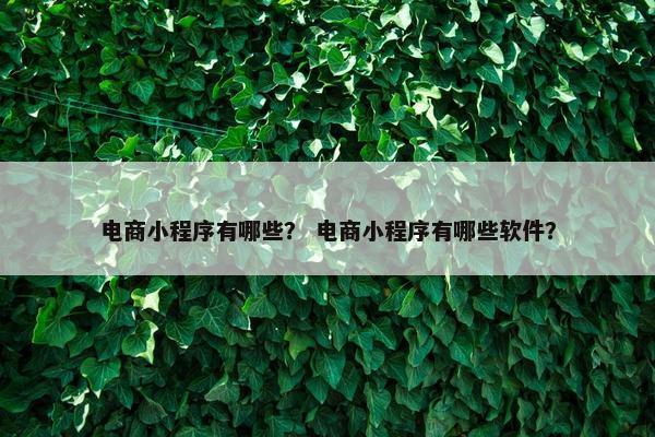 电商小程序有哪些？ 电商小程序有哪些软件？