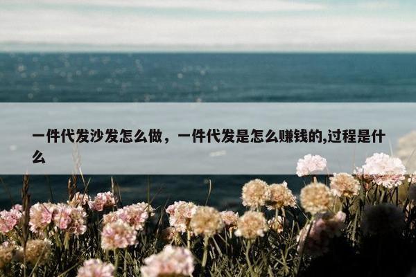 一件代发沙发怎么做，一件代发是怎么赚钱的,过程是什么