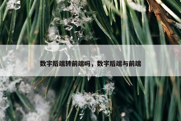 数字后端转前端吗，数字后端与前端