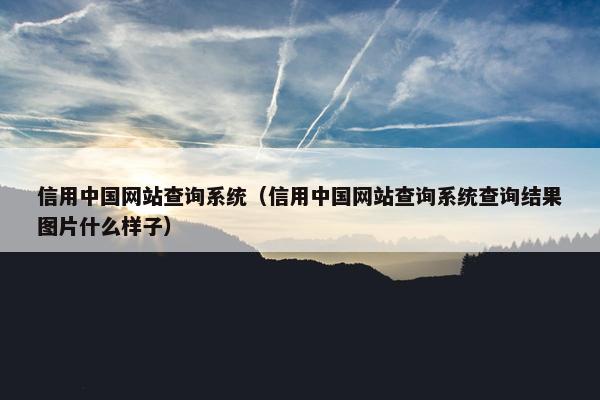 信用中国网站查询系统（信用中国网站查询系统查询结果图片什么样子）