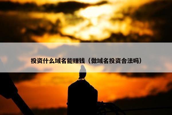 投资什么域名能赚钱（做域名投资合法吗）
