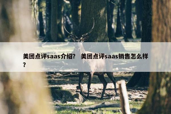 美团点评saas介绍？ 美团点评saas销售怎么样？
