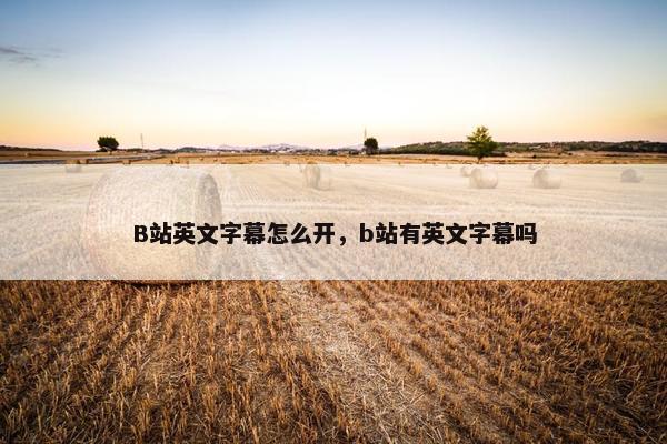 B站英文字幕怎么开，b站有英文字幕吗
