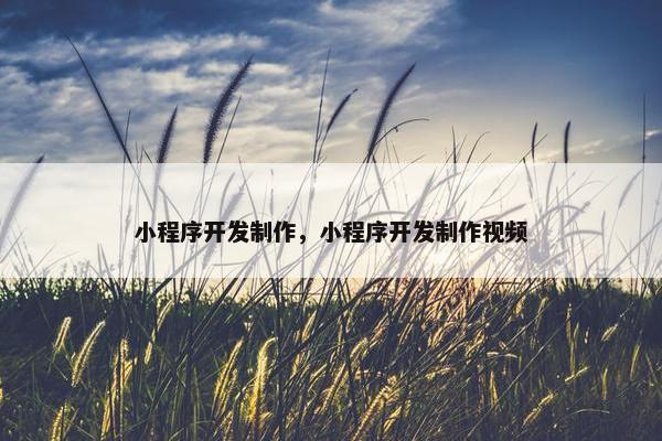 小程序开发制作，小程序开发制作视频