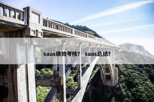 saas绩效考核？ saas总结？