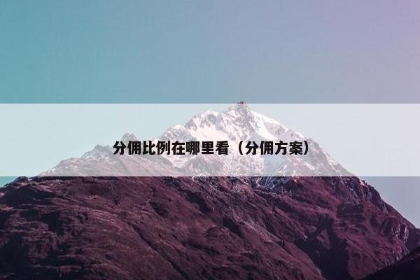 分佣比例在哪里看（分佣方案）