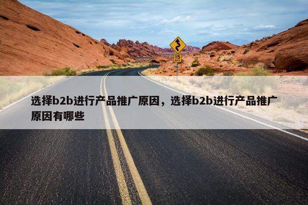 选择b2b进行产品推广原因，选择b2b进行产品推广原因有哪些