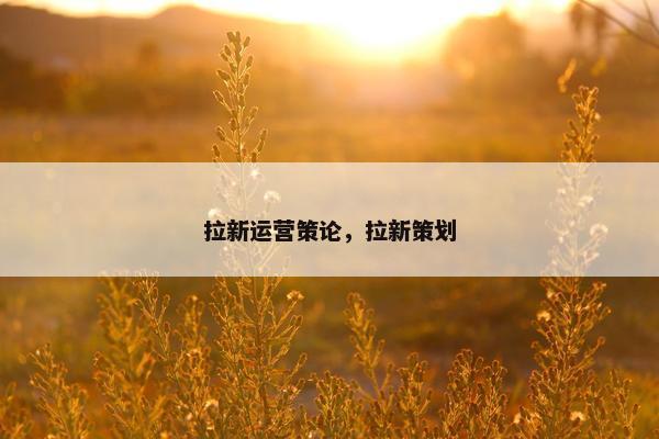 拉新运营策论，拉新策划