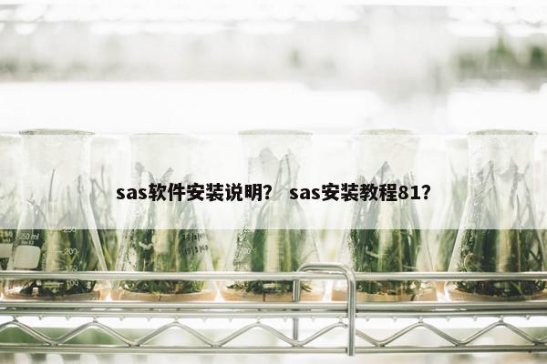 sas软件安装说明？ sas安装教程81？