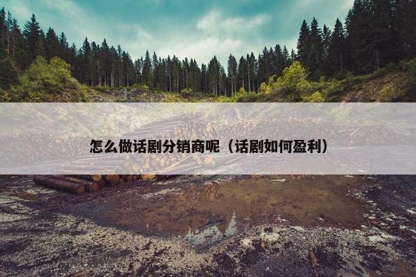 怎么做话剧分销商呢（话剧如何盈利）