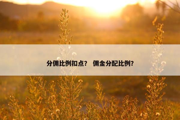 分佣比例扣点？ 佣金分配比例？