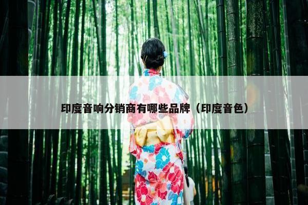 印度音响分销商有哪些品牌（印度音色）