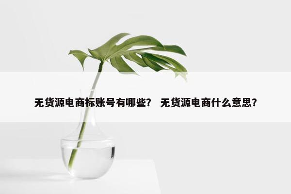 无货源电商标账号有哪些？ 无货源电商什么意思？