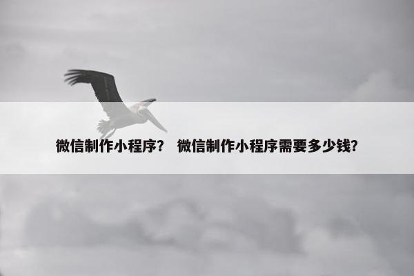 微信制作小程序？ 微信制作小程序需要多少钱？
